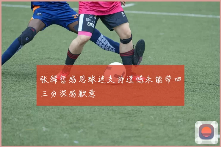 张稀哲感恩球迷支持遗憾未能带回三分深感歉意